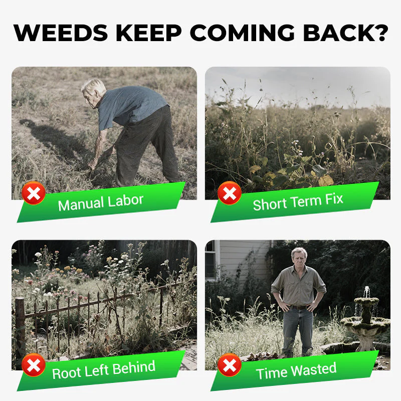 Cyclosinone Herbicide - Image 4